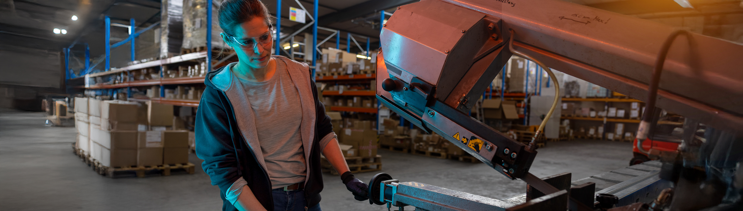 Ausbildung und Studium