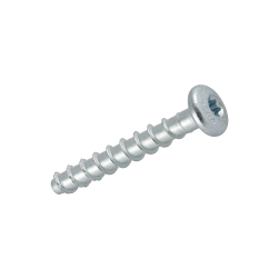 Betonschrauben MMS-plus mit Tellerkopf (klein) Typ P | 40